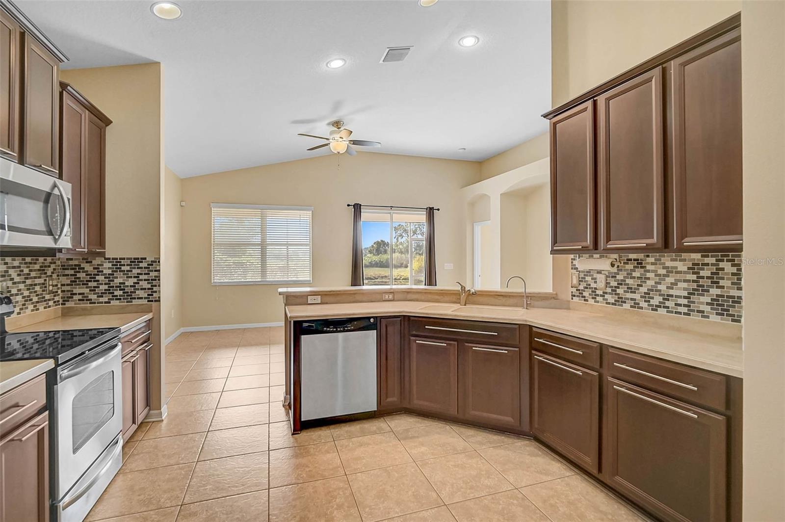 10115 CARAWAY SPICE AVE
