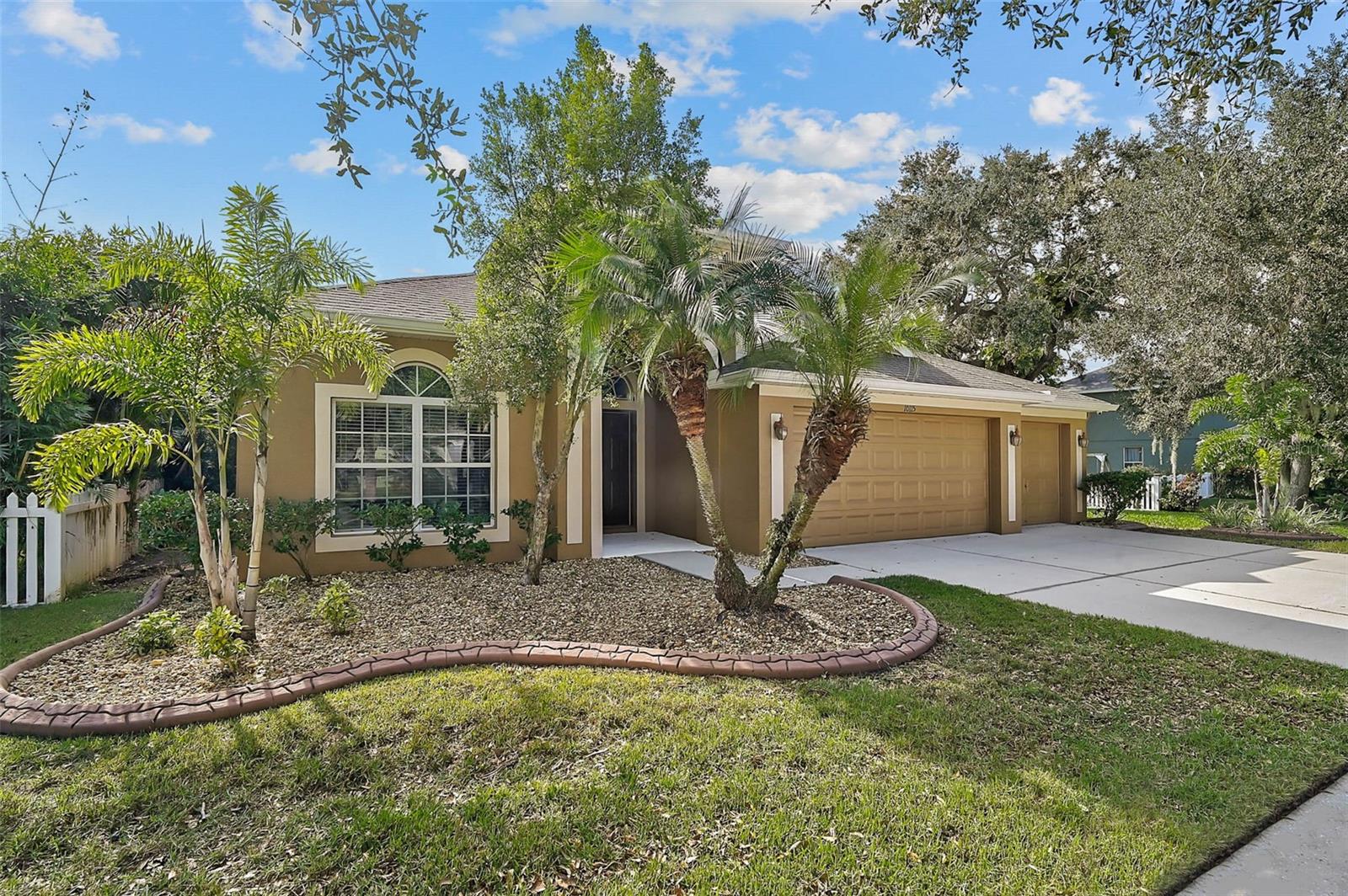 10115 CARAWAY SPICE AVE