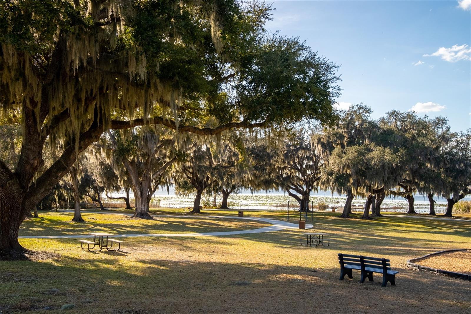 8903 DRUMMER PLANK DR