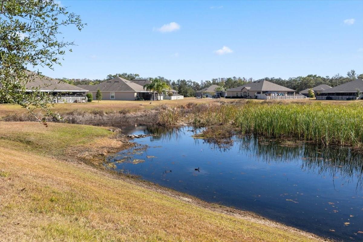 14064 WEDDINGTON TER