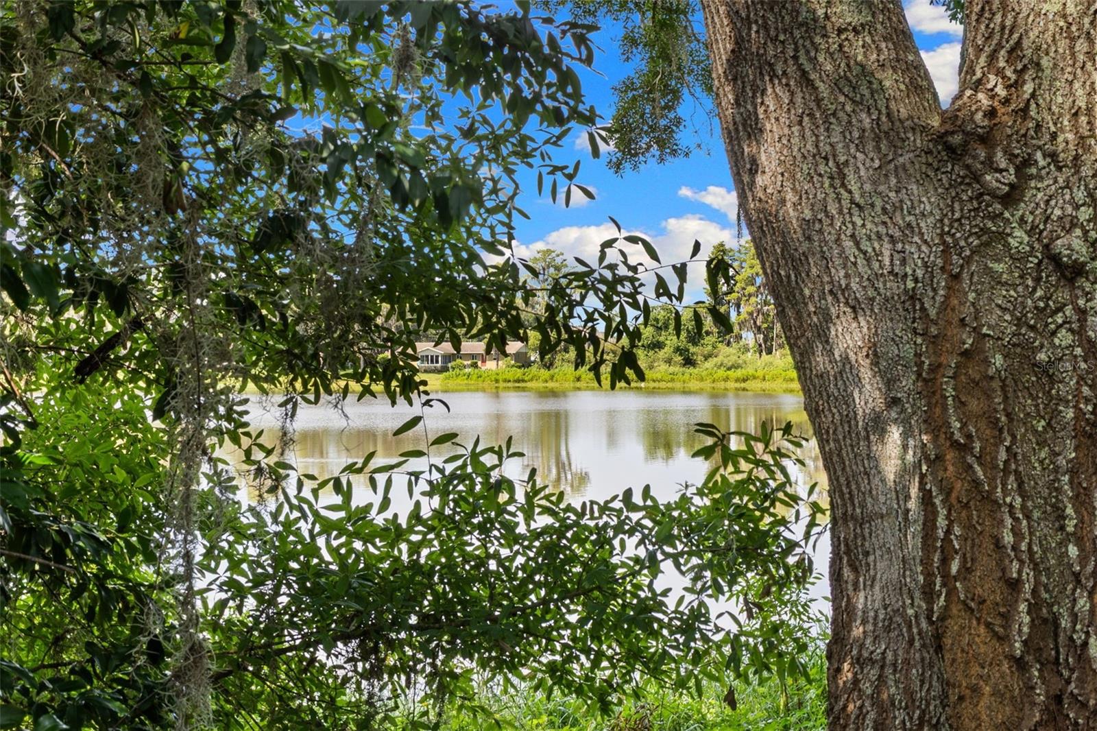 18117 BOY SCOUT RD