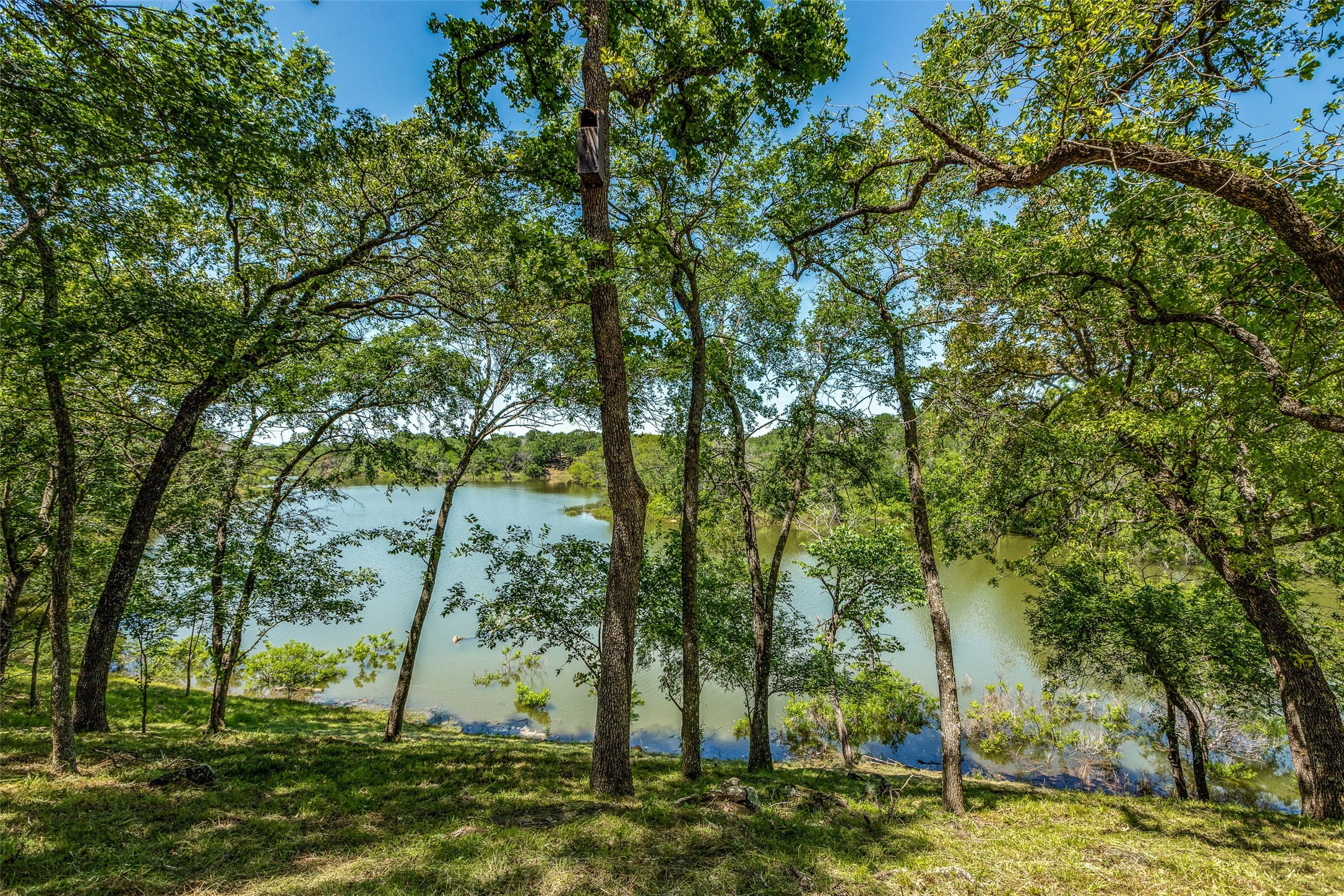 1110 Oak View Court