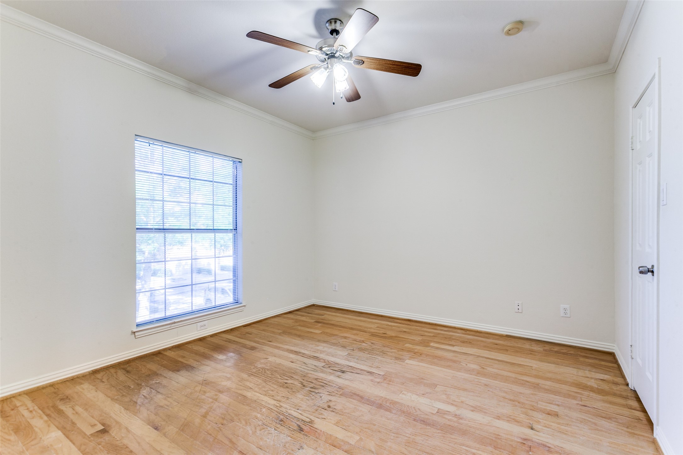 2524 Preston Road 204