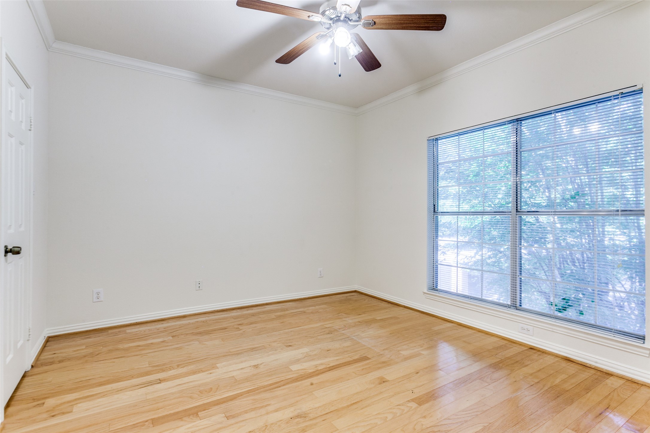 2524 Preston Road 204
