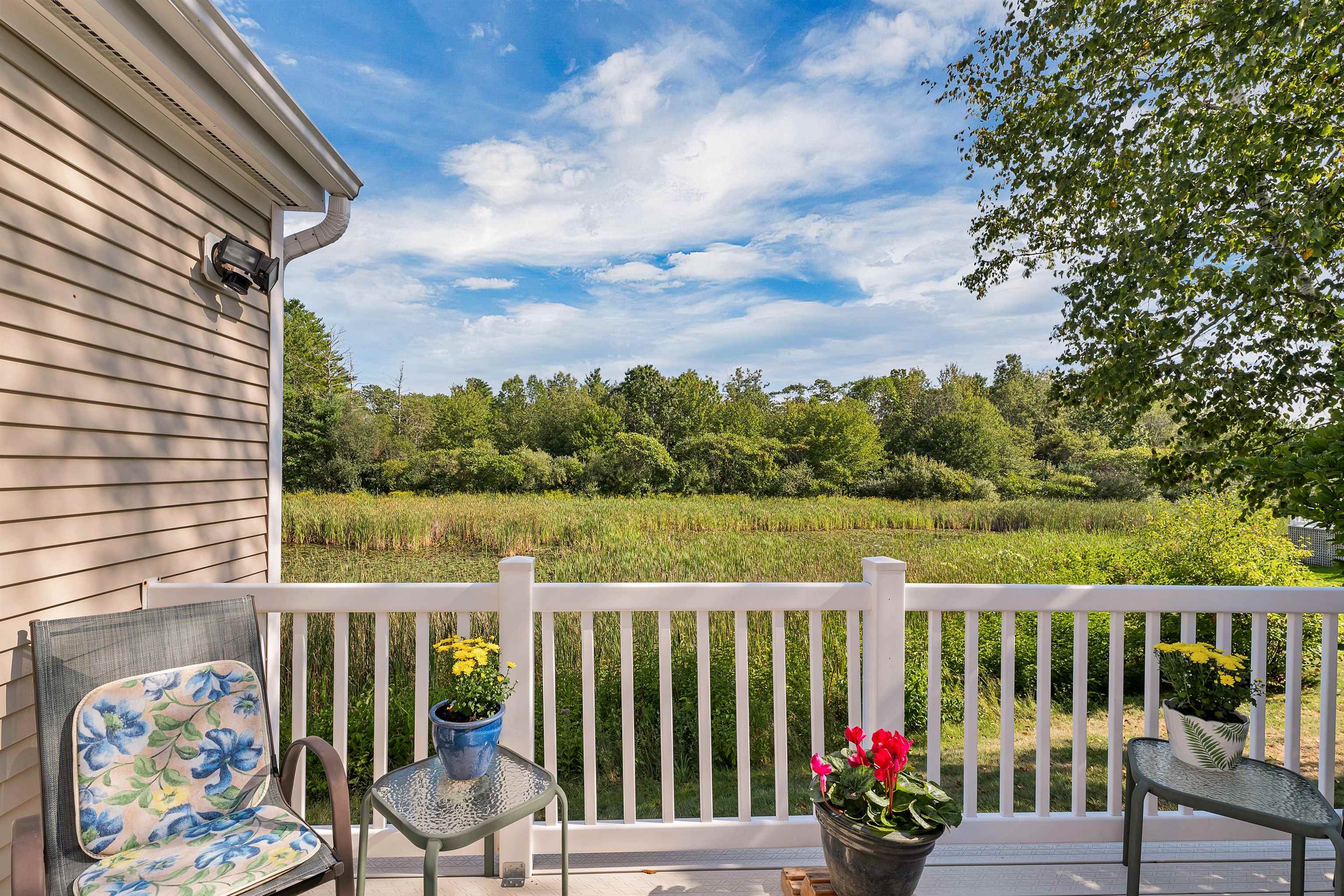 60 Hampton Meadows