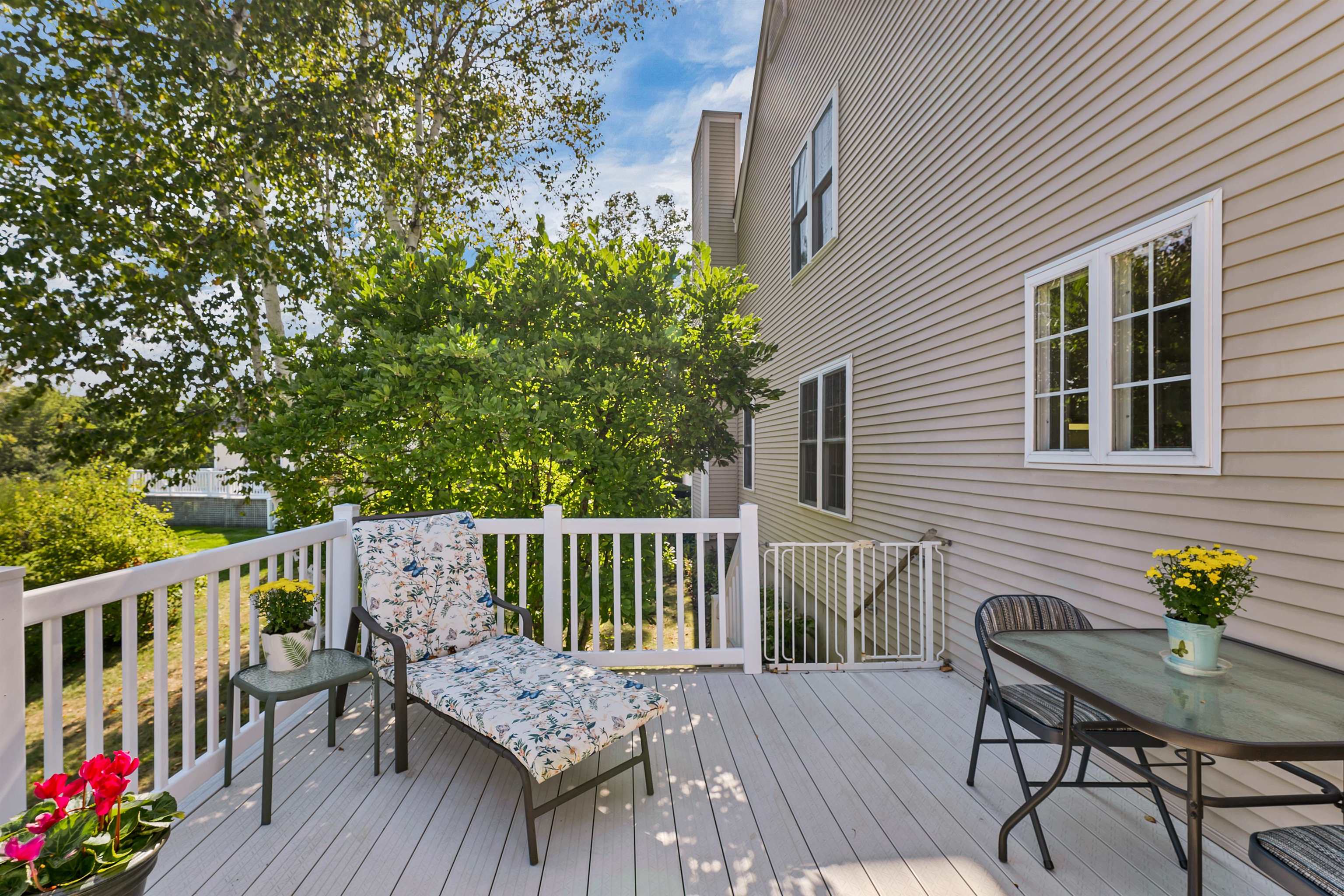 60 Hampton Meadows