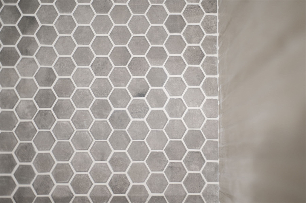 56 Blaney Street # 1