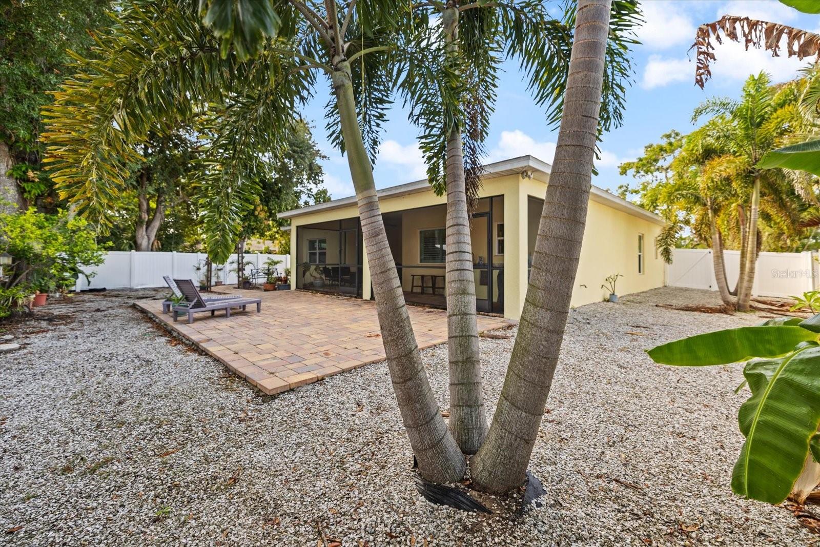 2339 DATURA ST