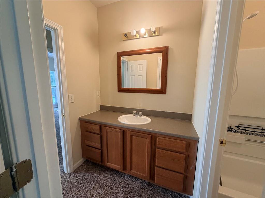 Bathroom vanity with a single sink, wood cabinets, and a large framed mirror.