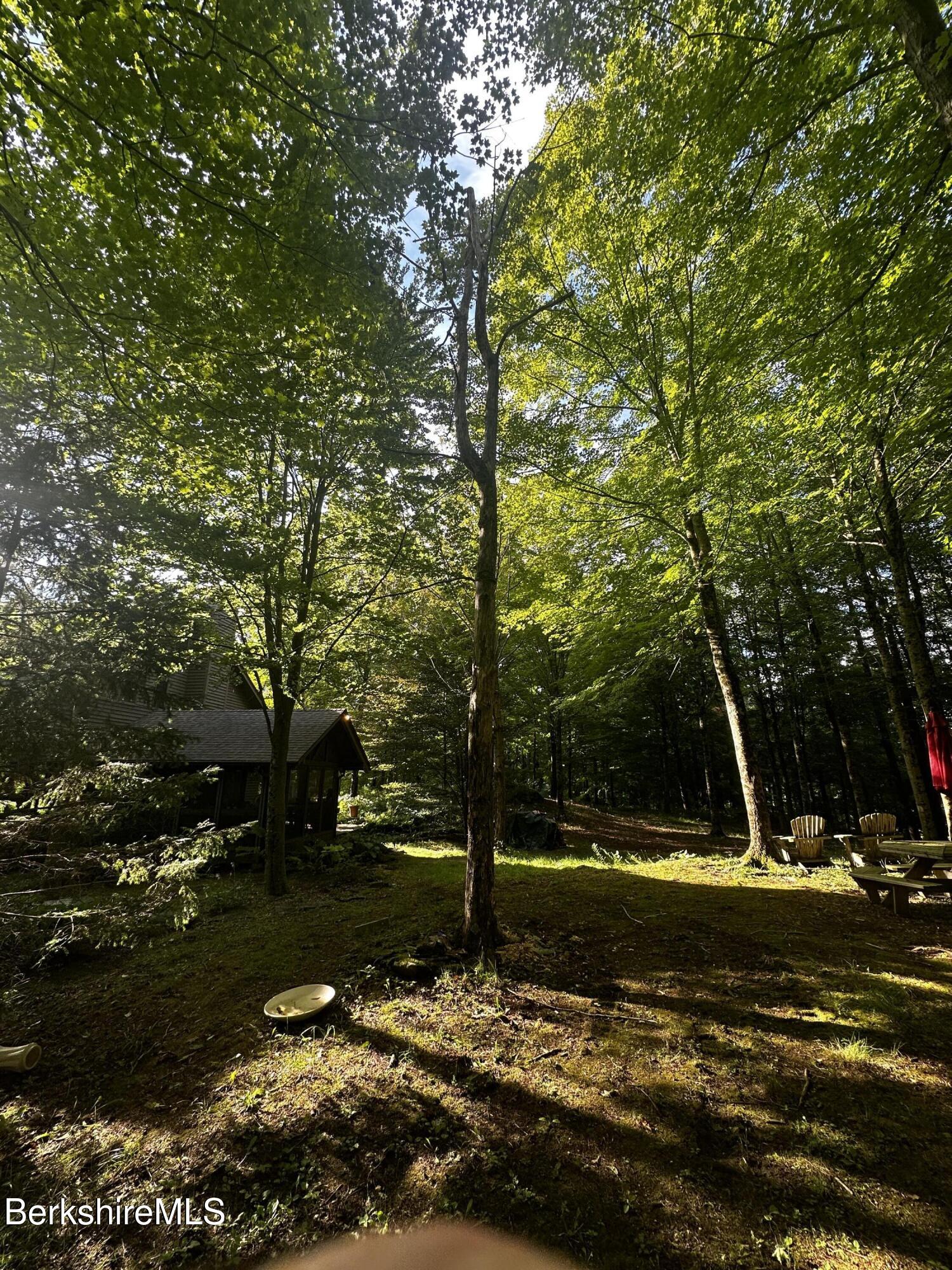 173 hillsdale Rd