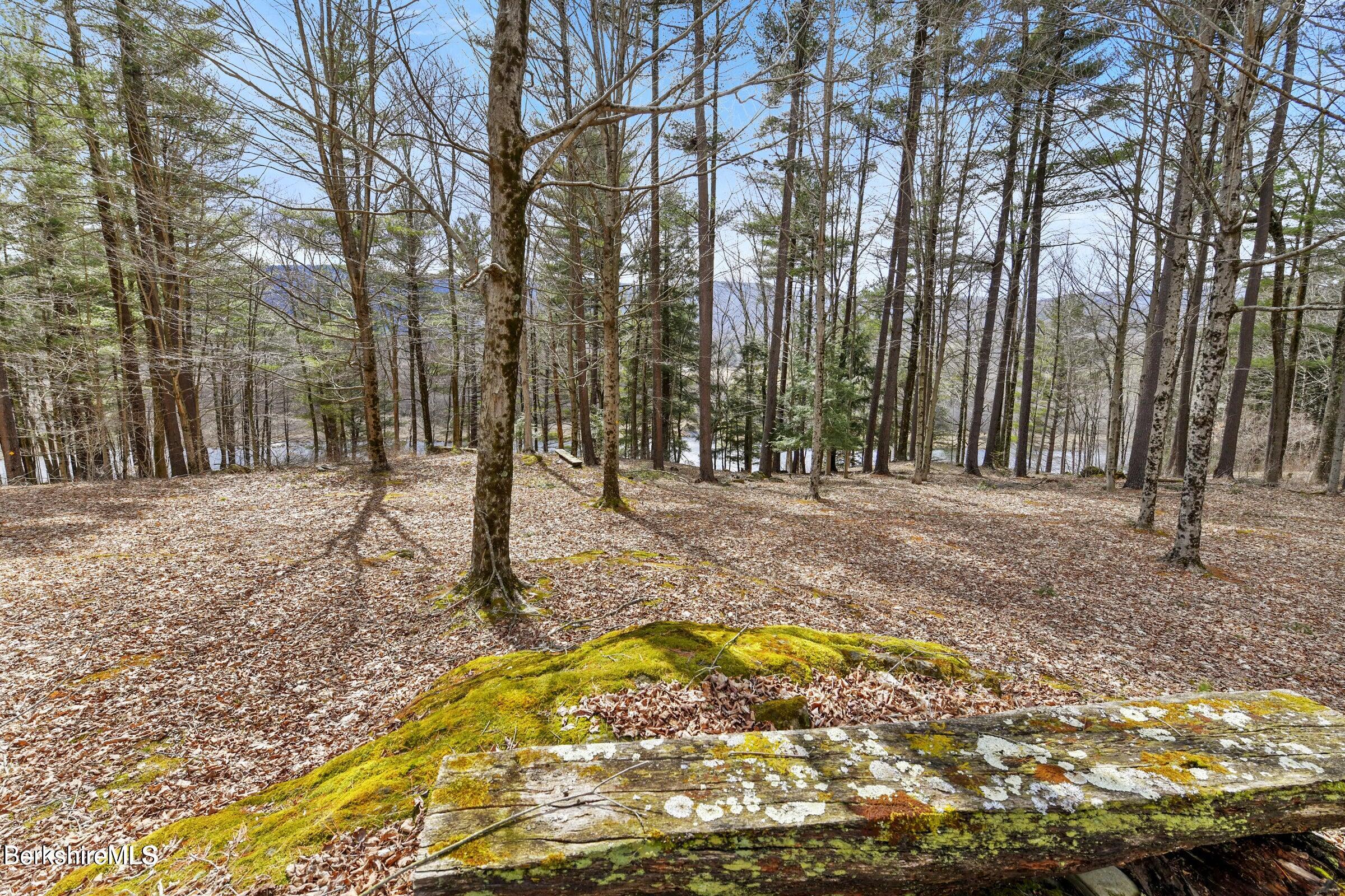 173 hillsdale Rd