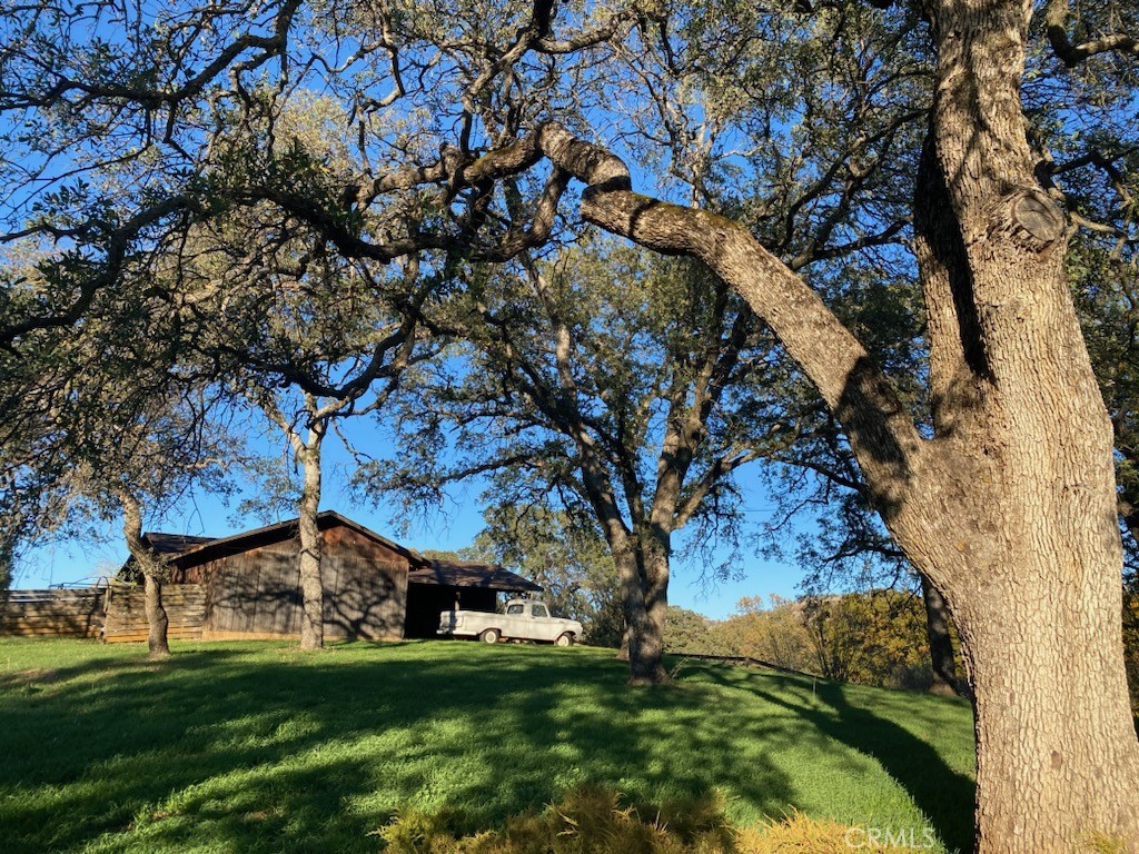 3841 W Branch Lane