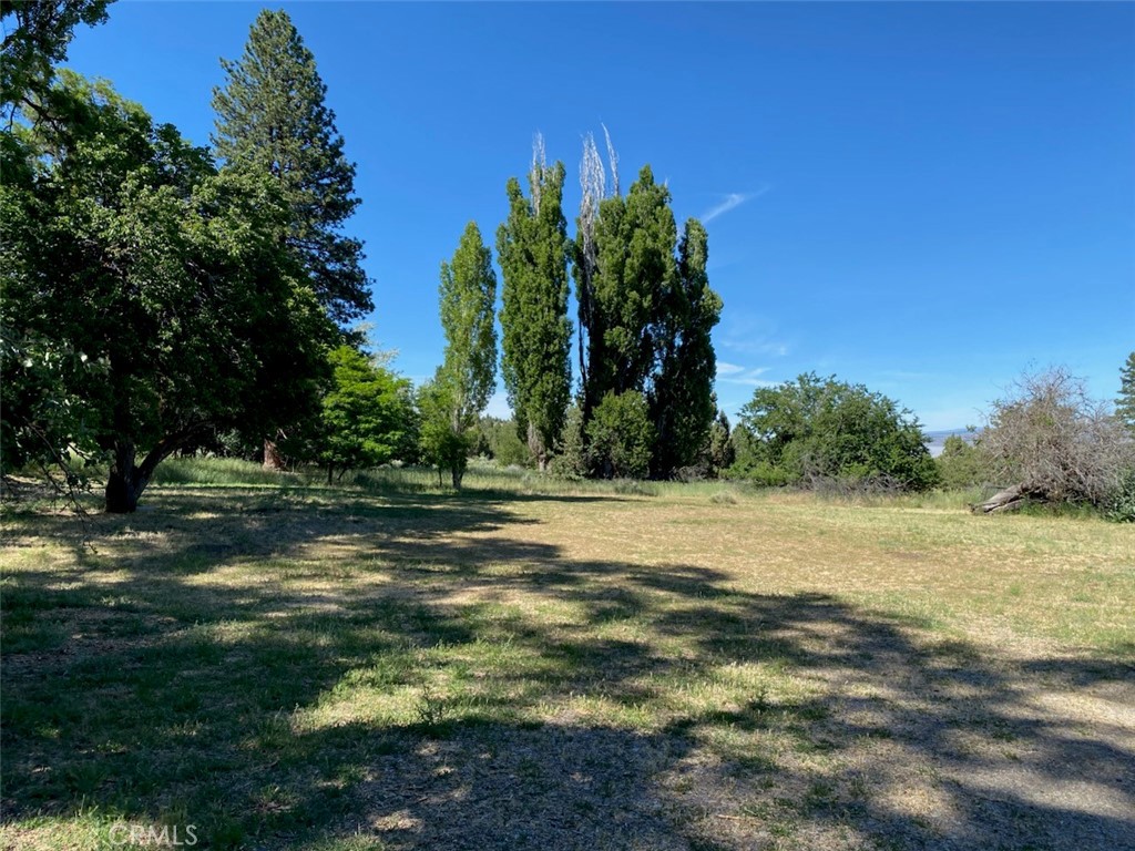 42528 County Road 1