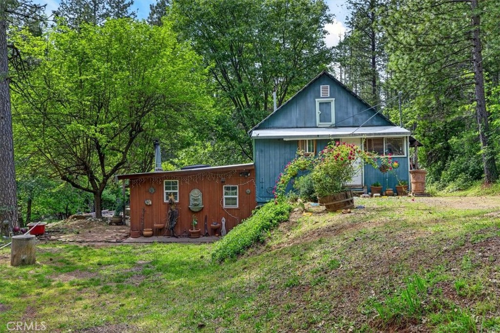 311 Hollow Oak