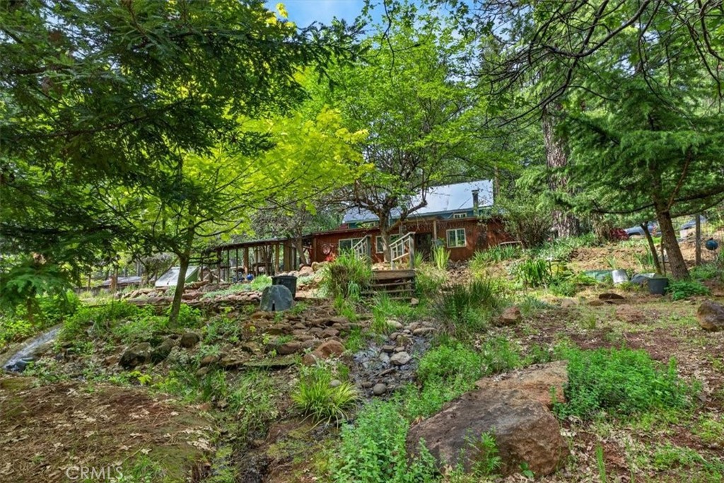 311 Hollow Oak
