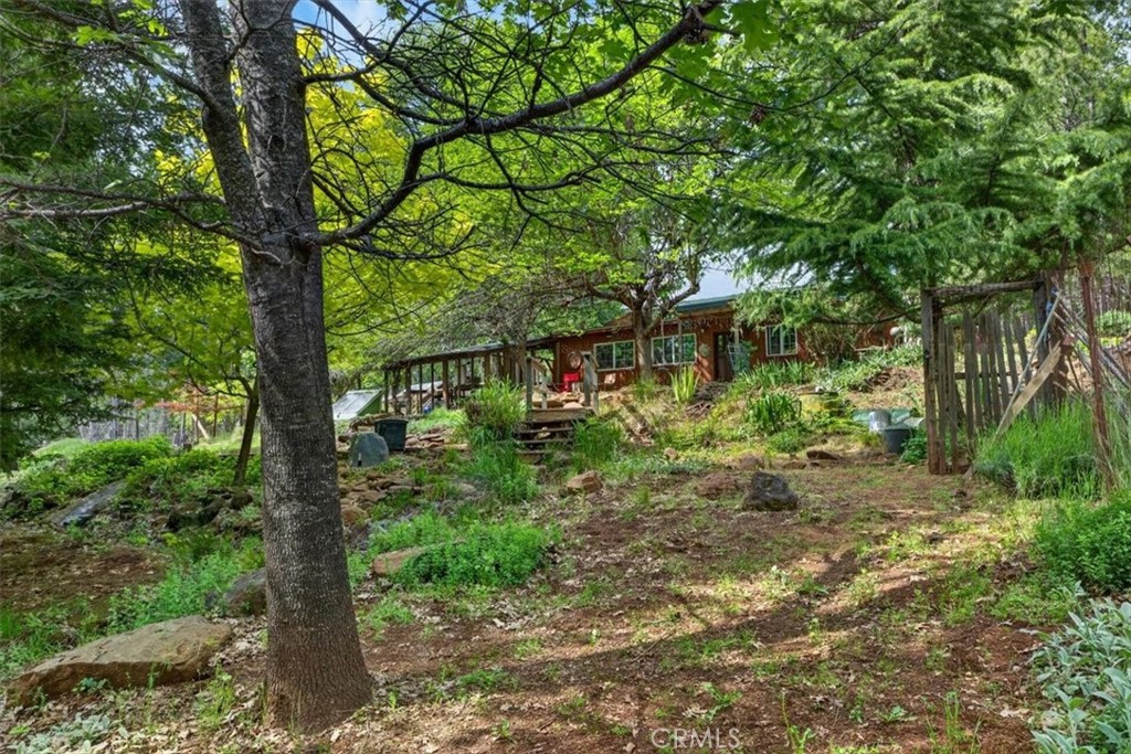 311 Hollow Oak
