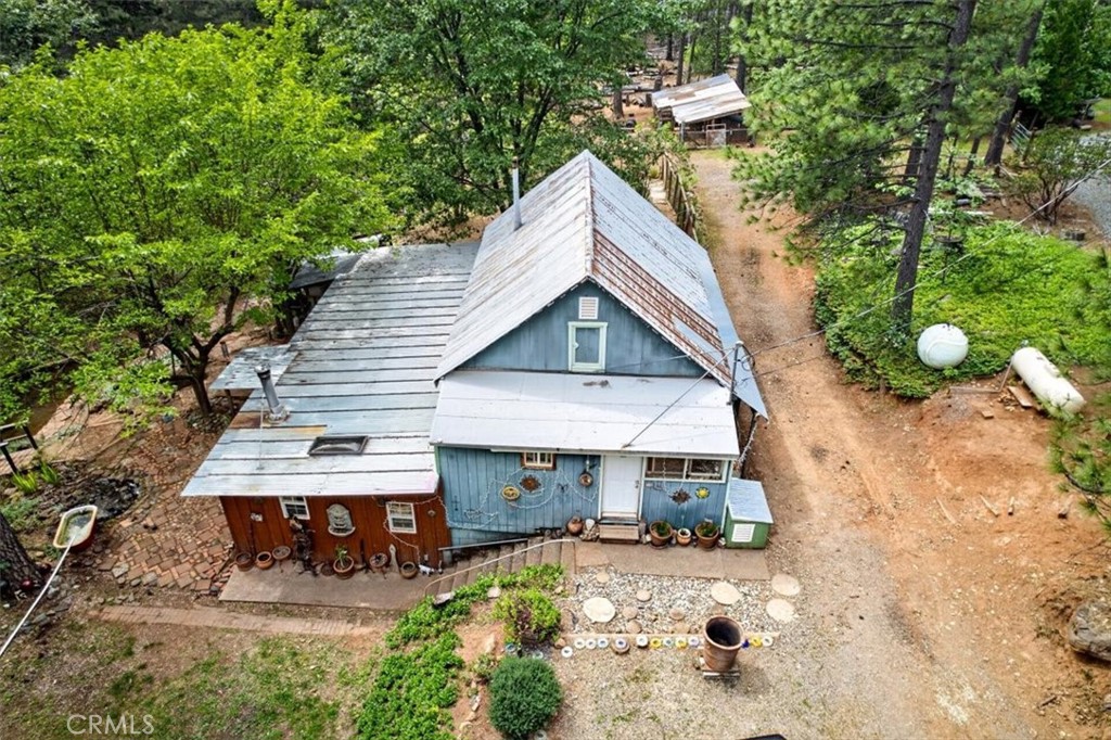 311 Hollow Oak