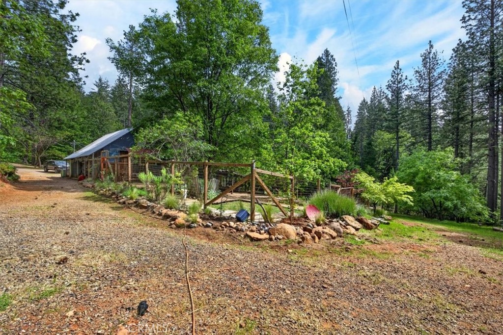 311 Hollow Oak