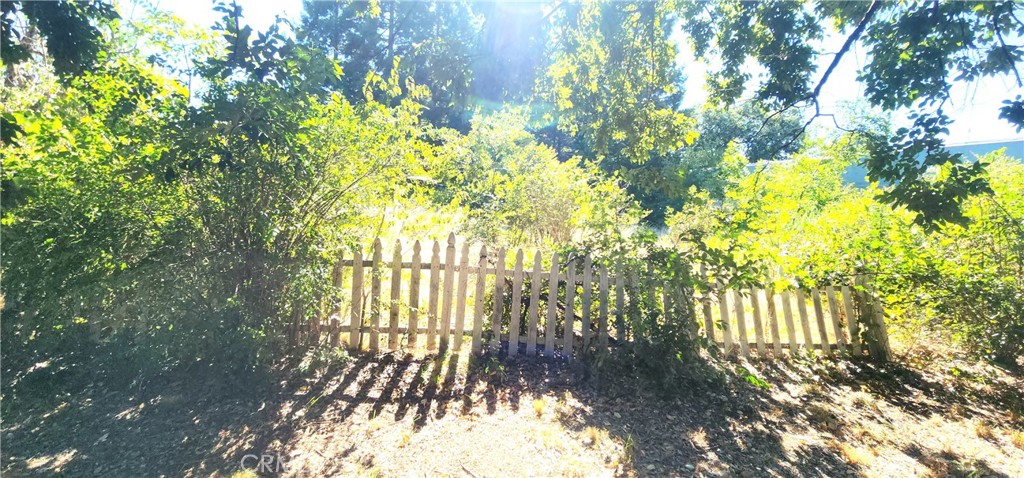 3403 Silverbell