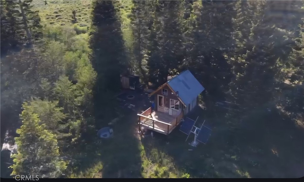 Small cabin with a metal roof and porch surrounded by dense evergreen trees, viewed from above.