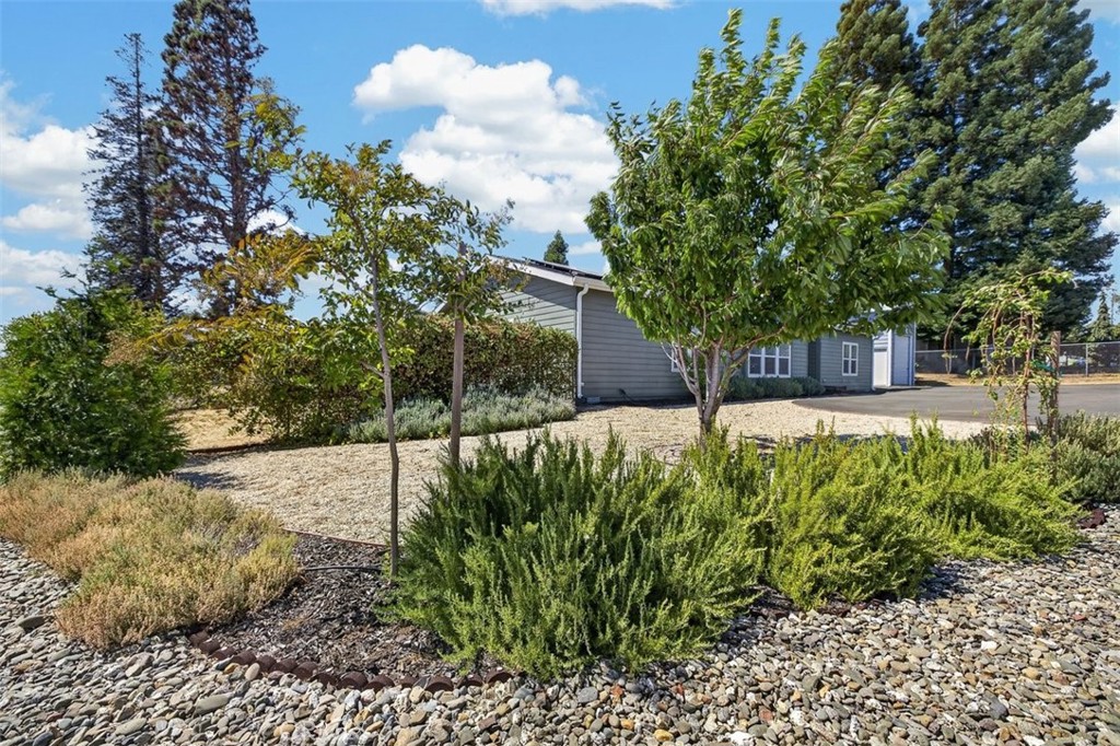 6205 Lancaster