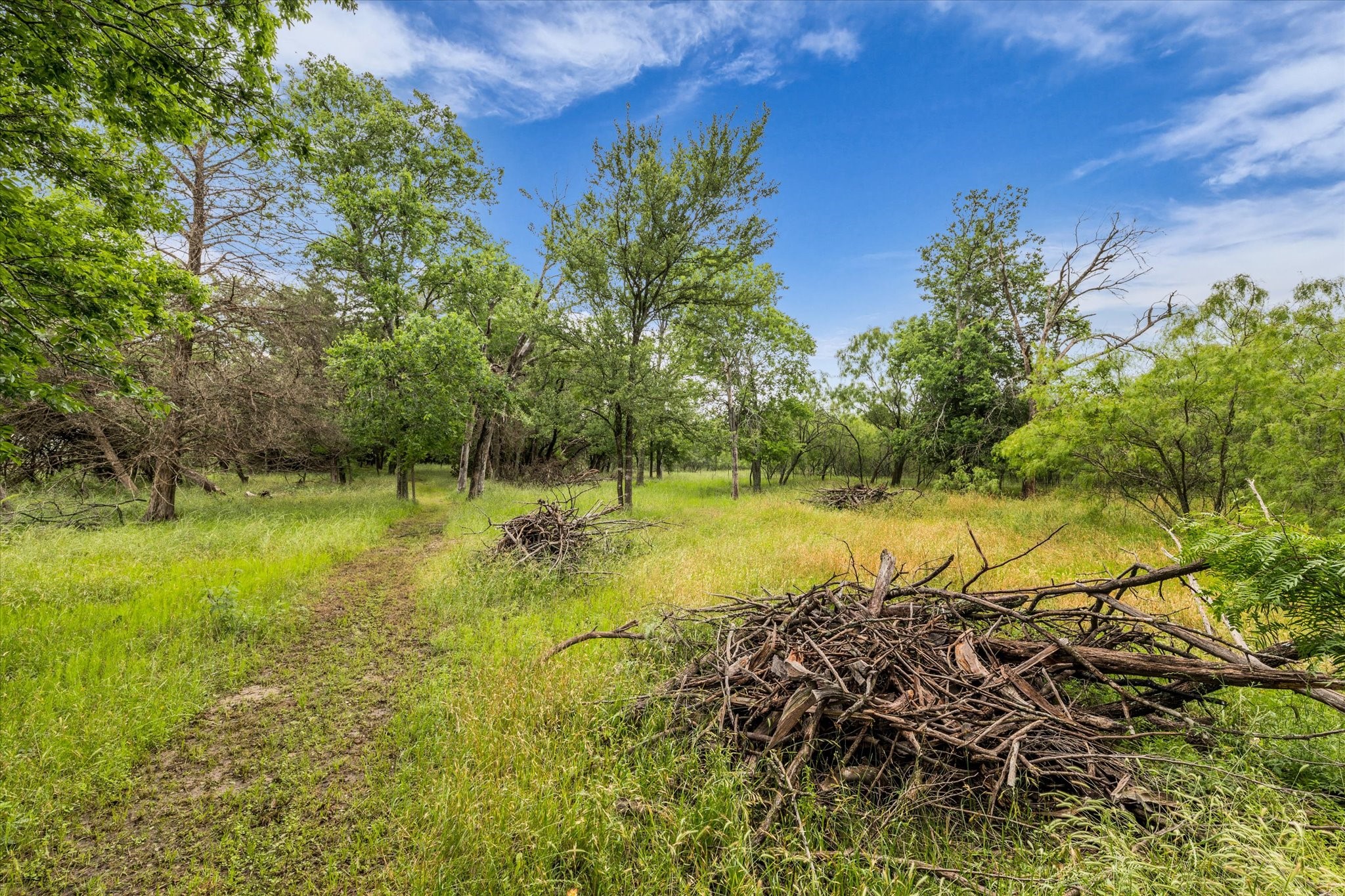 3601 Orchard Lane