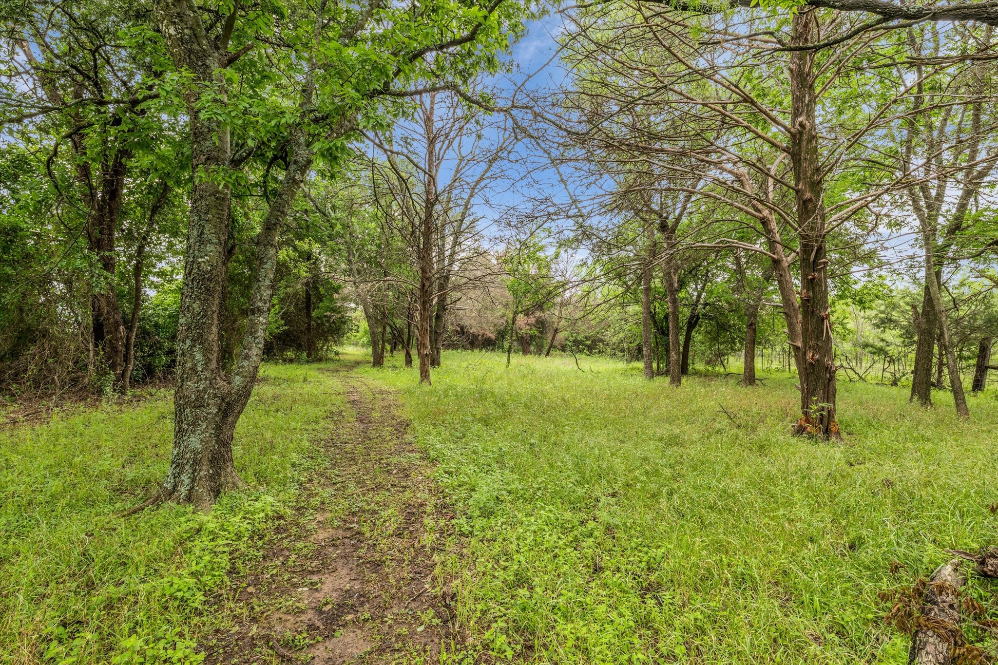 3601 Orchard Lane