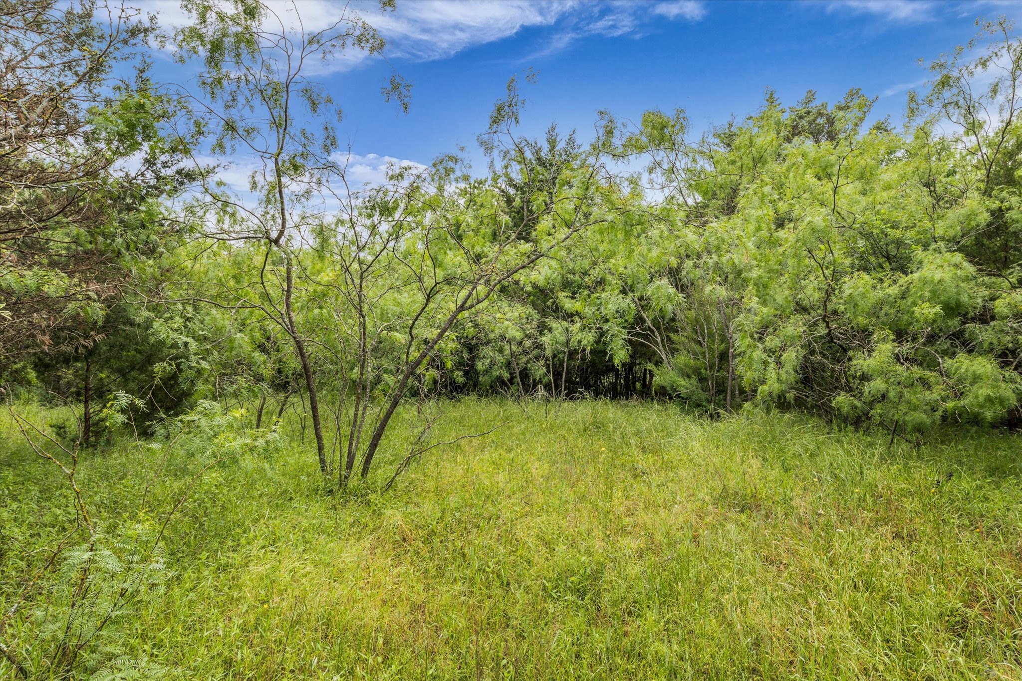 3601 Orchard Lane