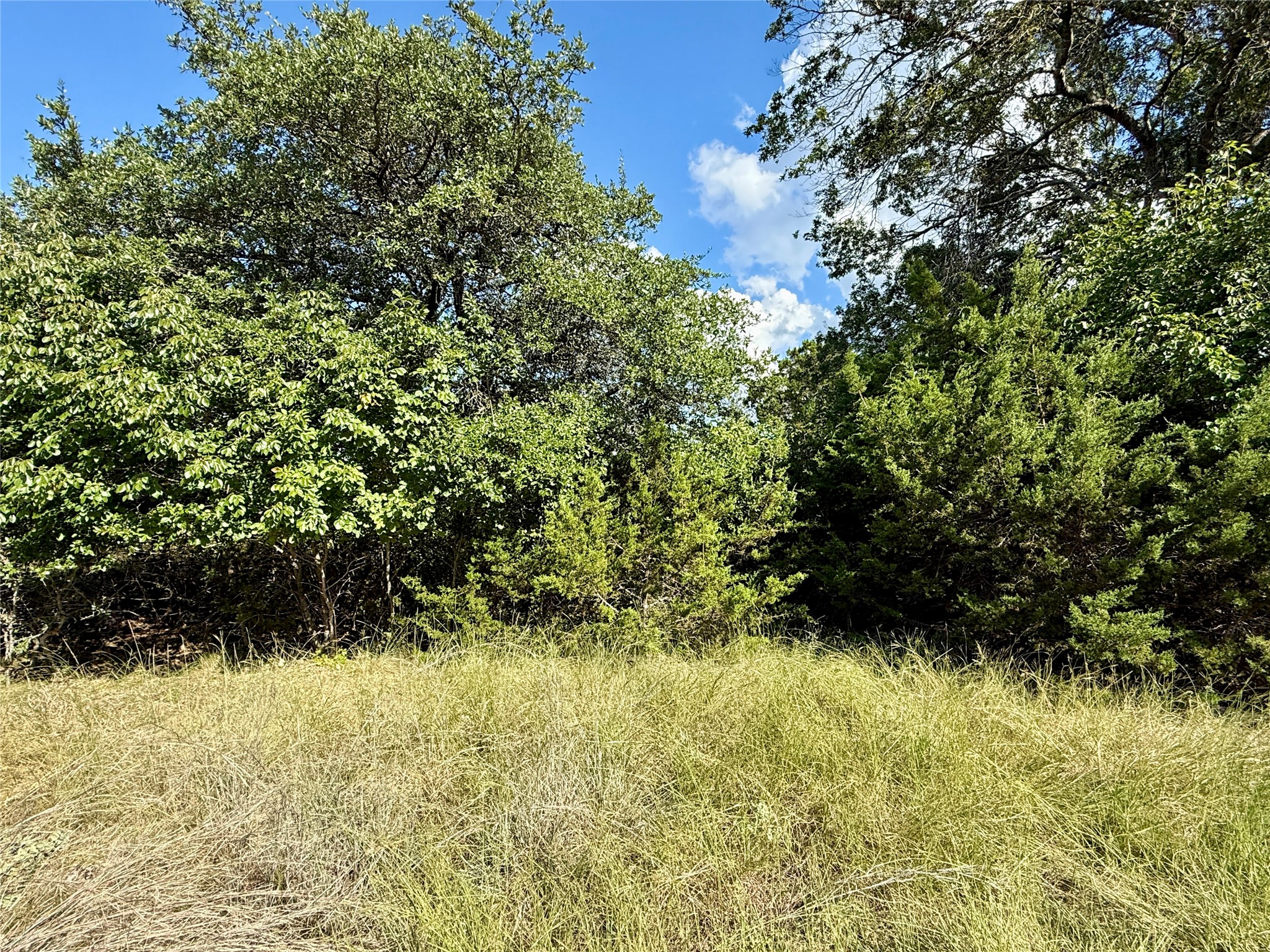 tbd Cedar ridge