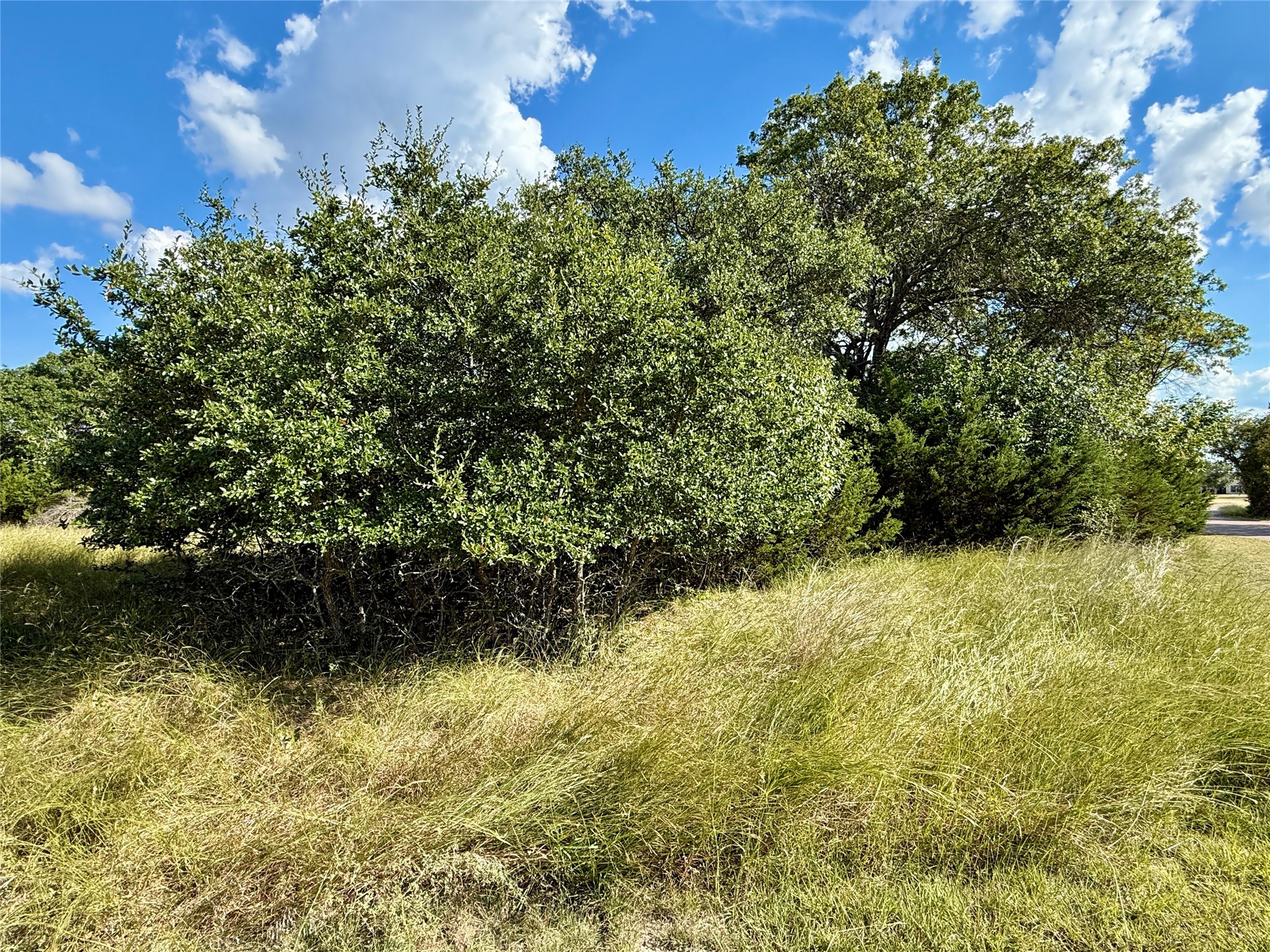 tbd Cedar ridge
