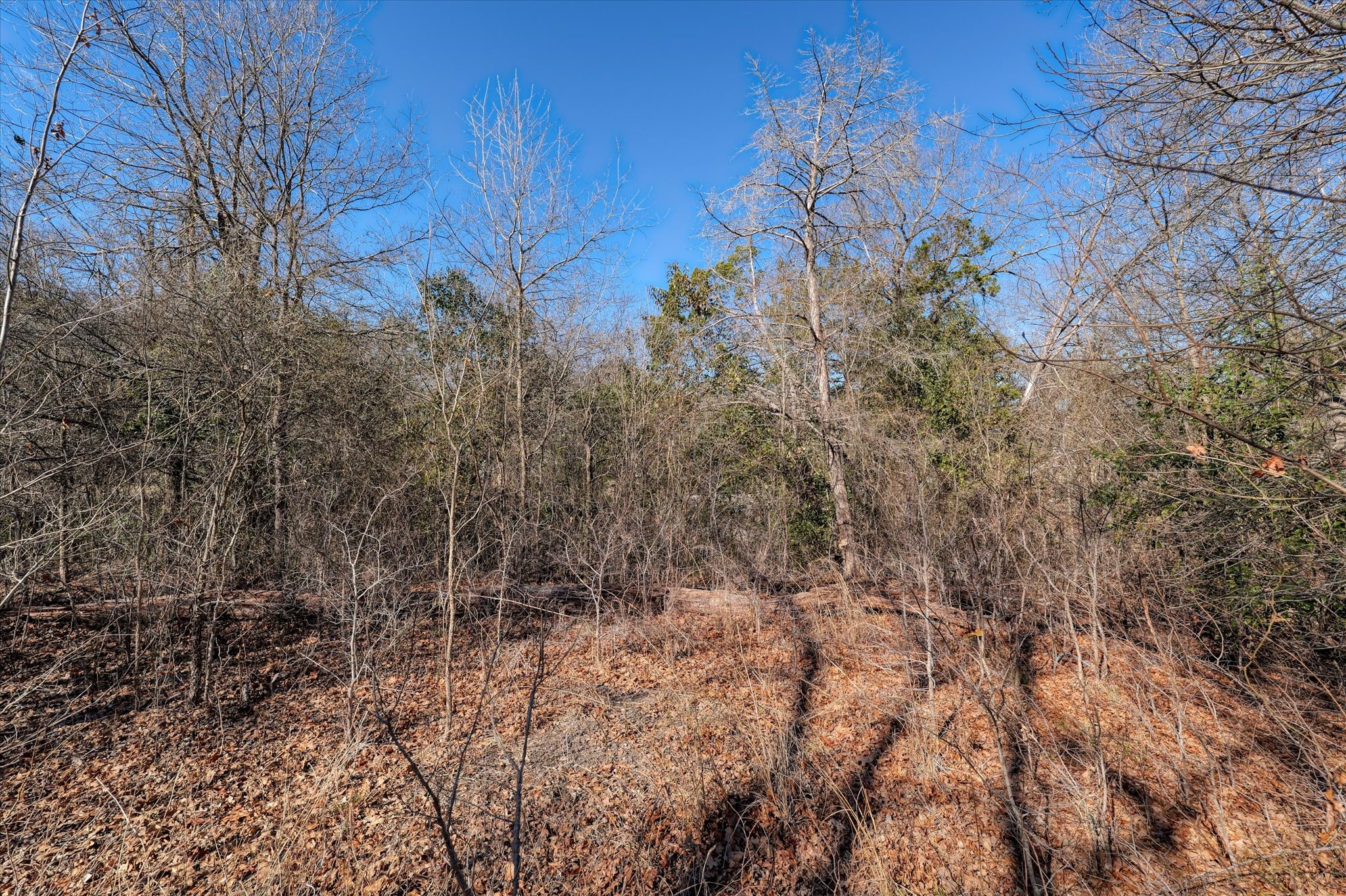 105 Parker Lane