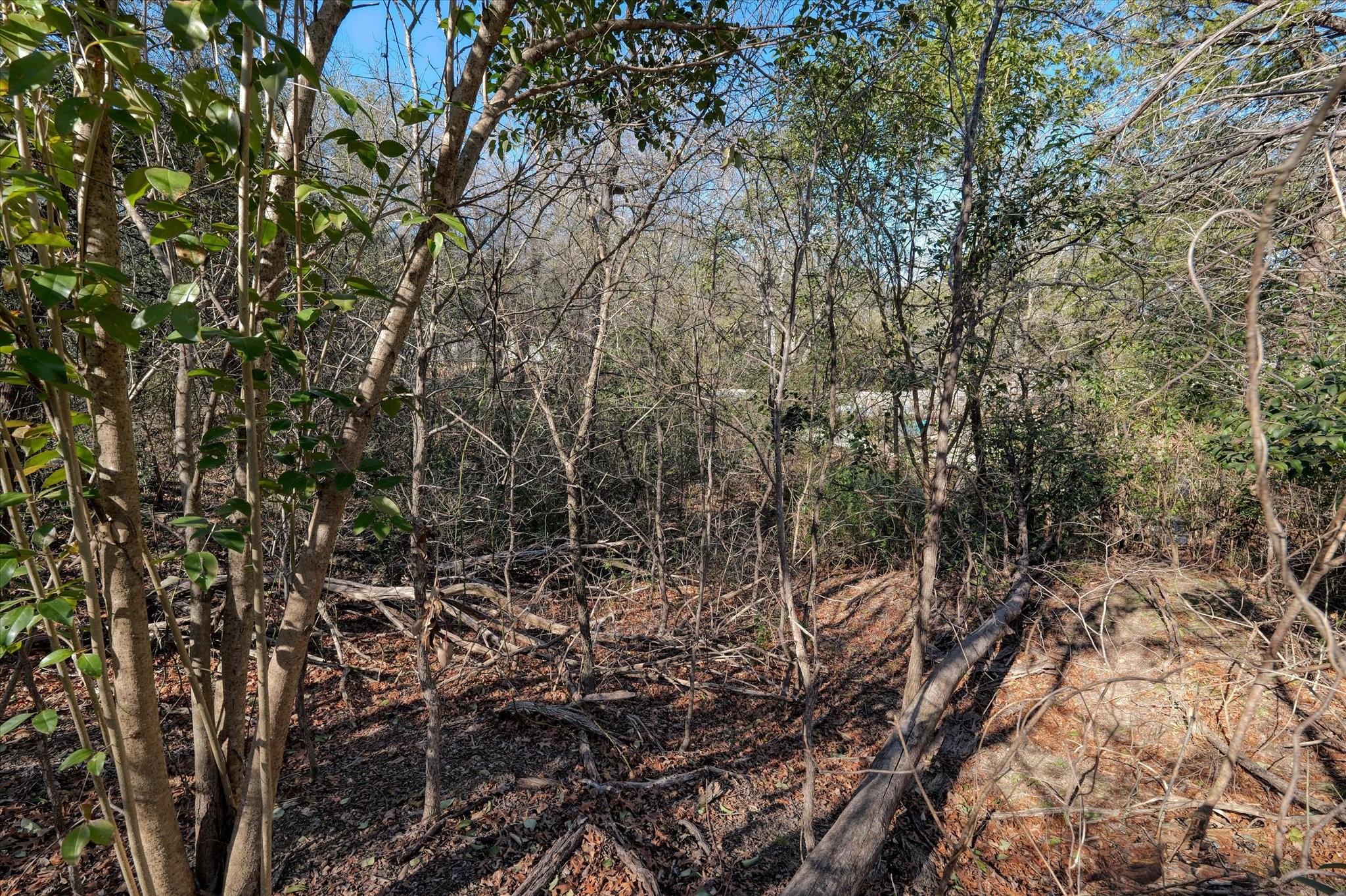 105 Parker Lane