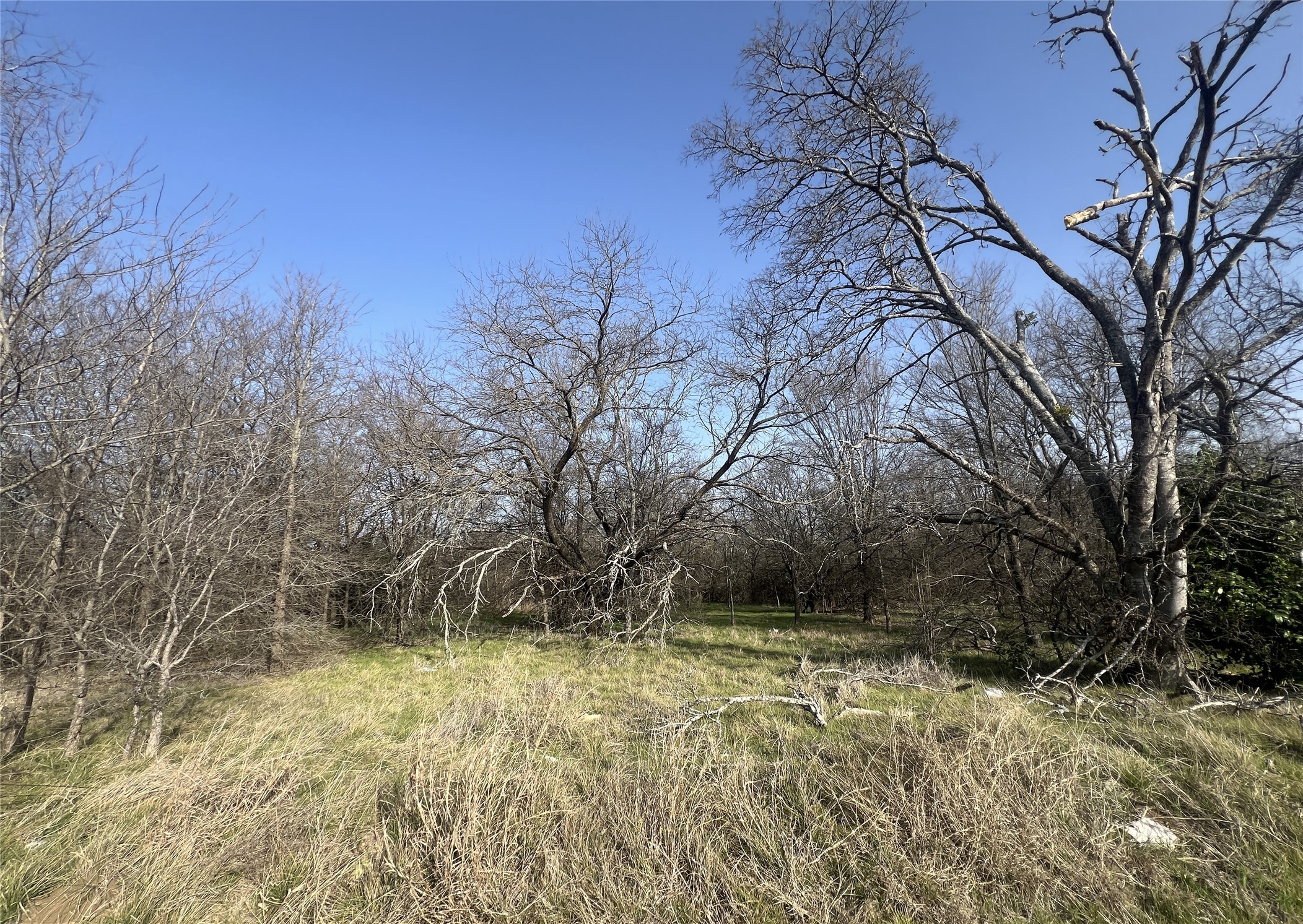 13700 Gholson Road
