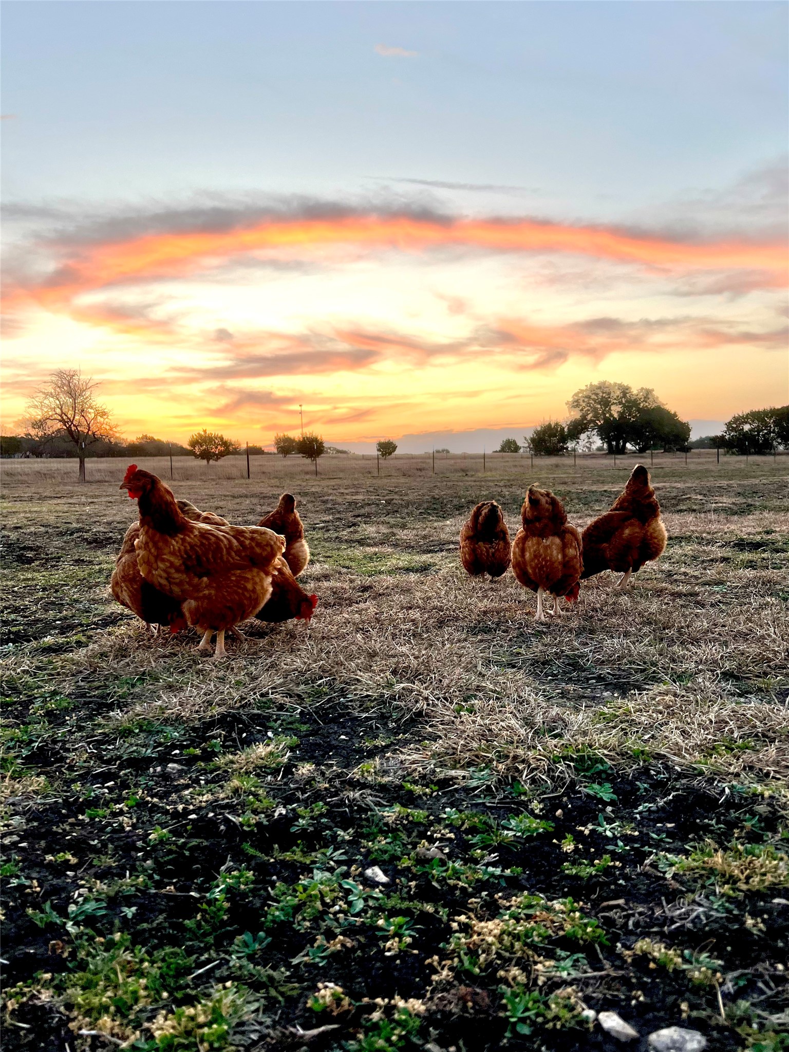 474 Private Road 305