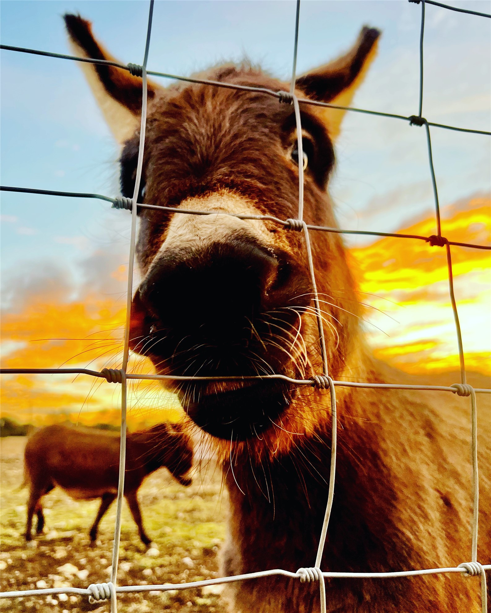 474 Private Road 305