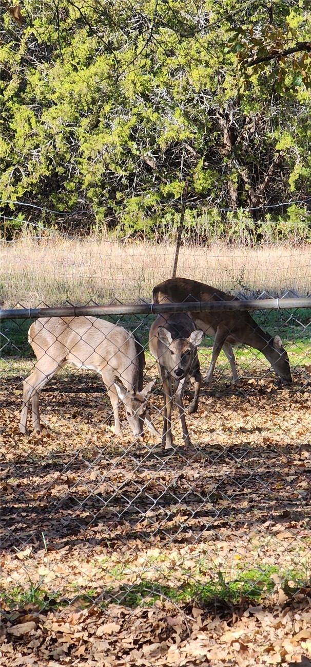 419 Pleasantview Drive