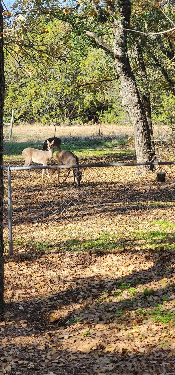 419 Pleasantview Drive