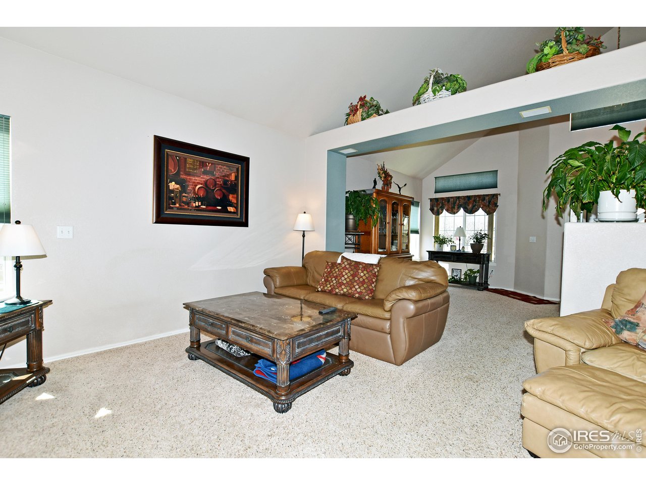3988 Crestone Dr