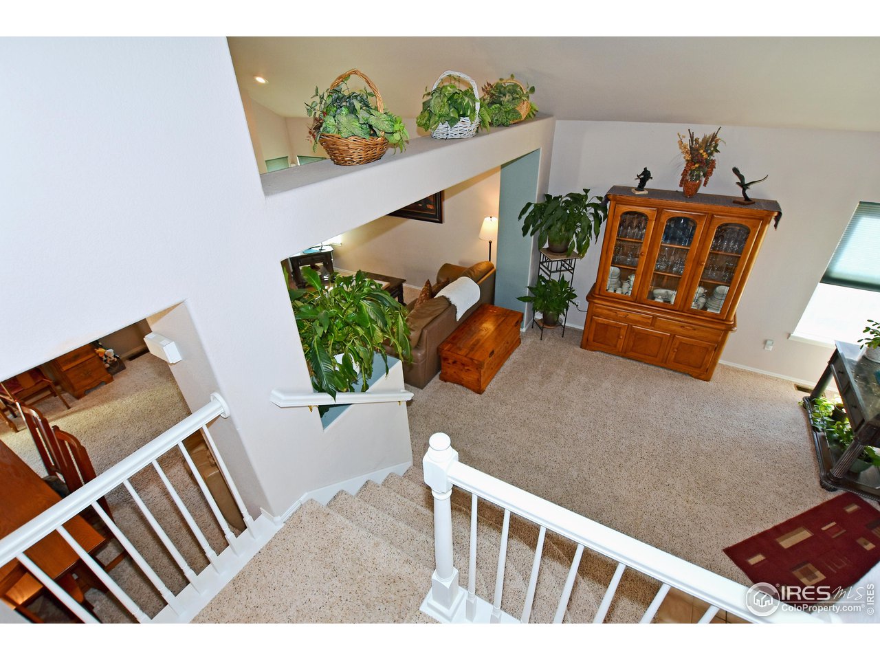 3988 Crestone Dr