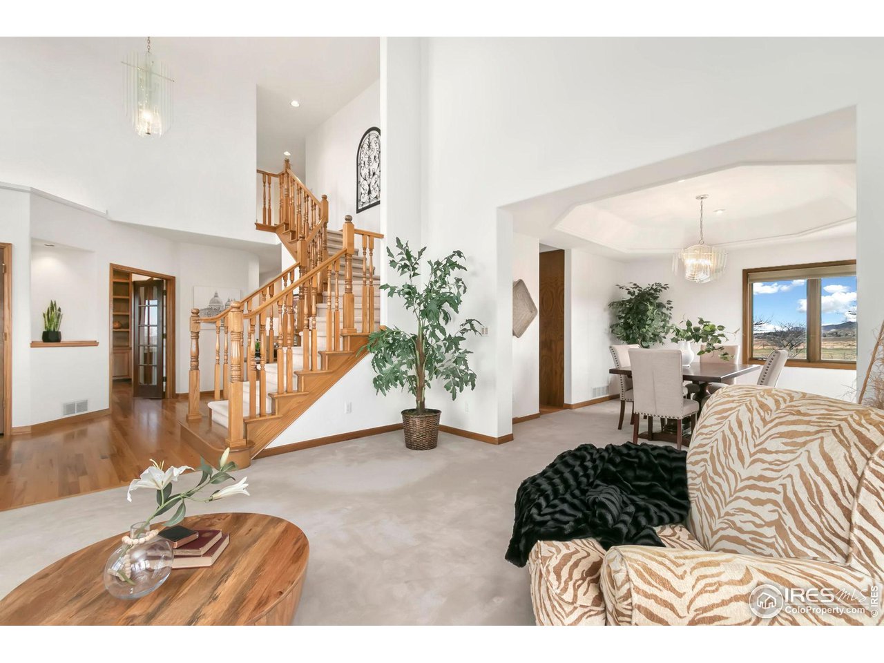 6252 Panoramic Dr