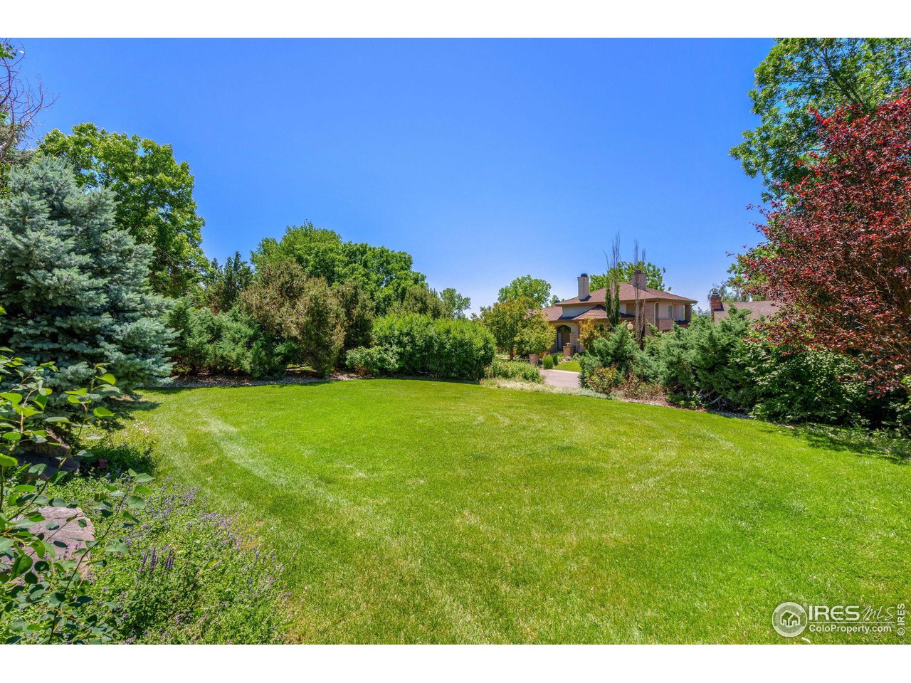 1804 Cottonwood Point Dr