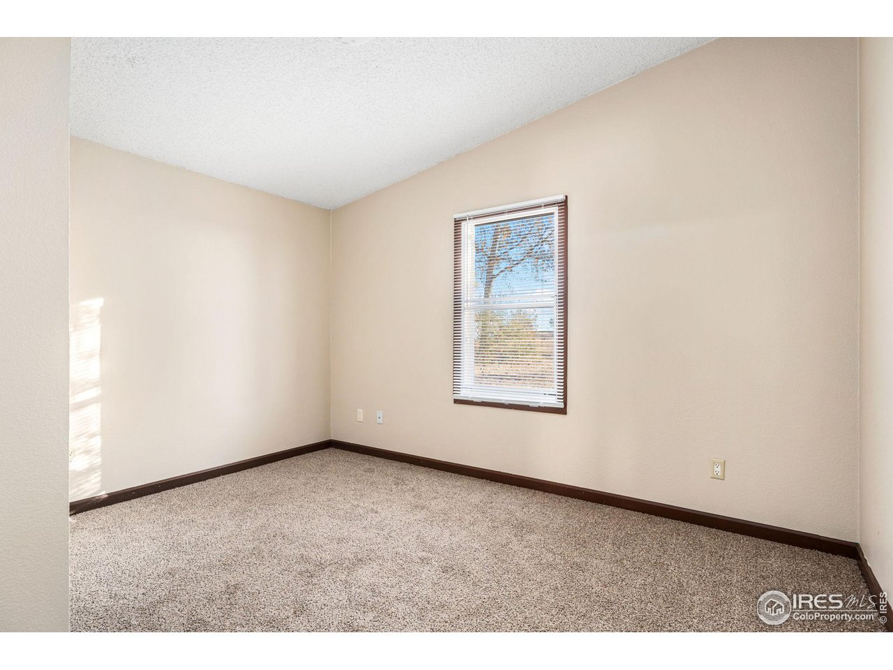 38973 County Road 21