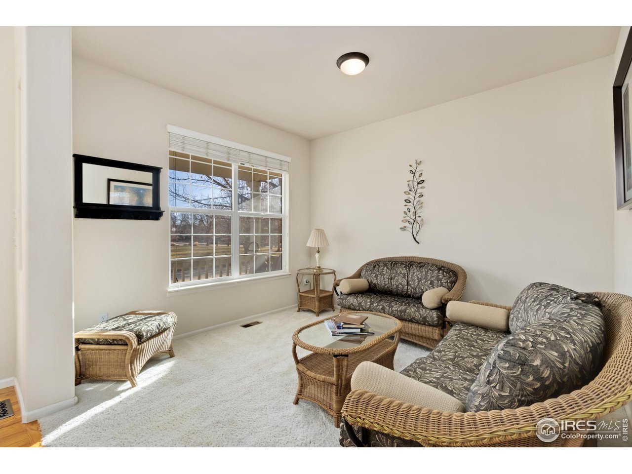 5309 Cinquefoil Ln