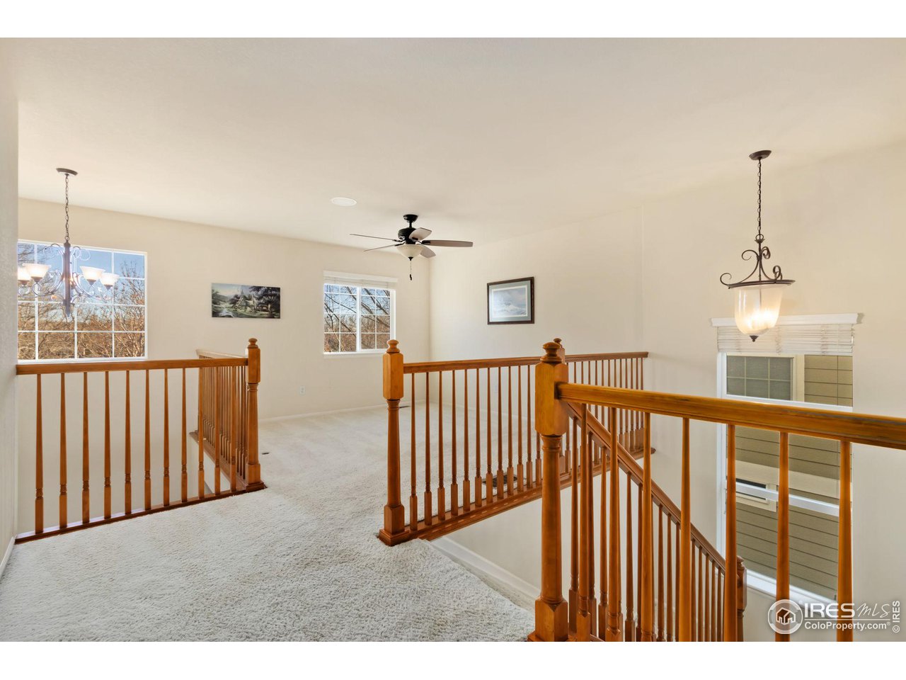 5309 Cinquefoil Ln