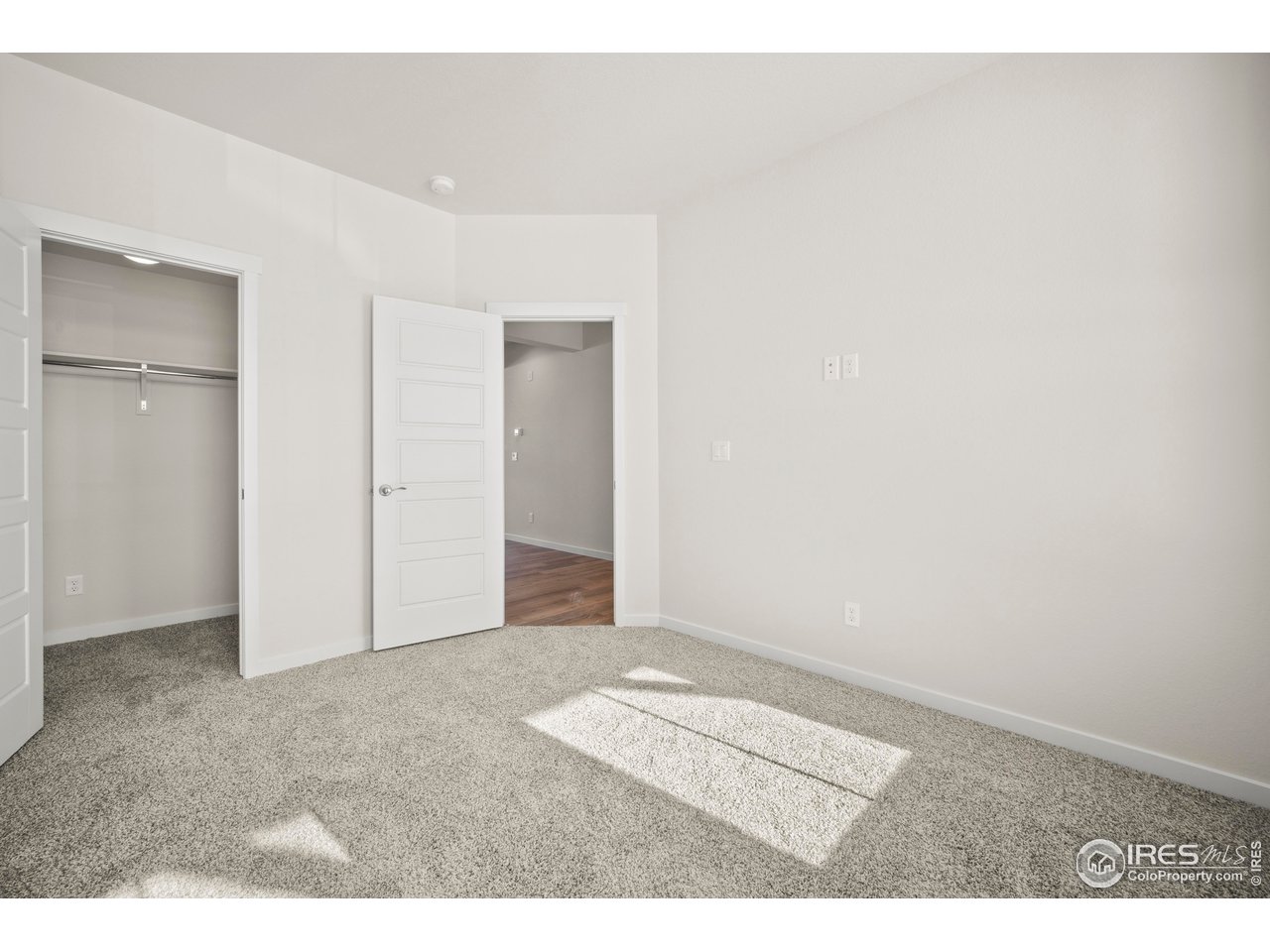871 Forest Canyon Rd