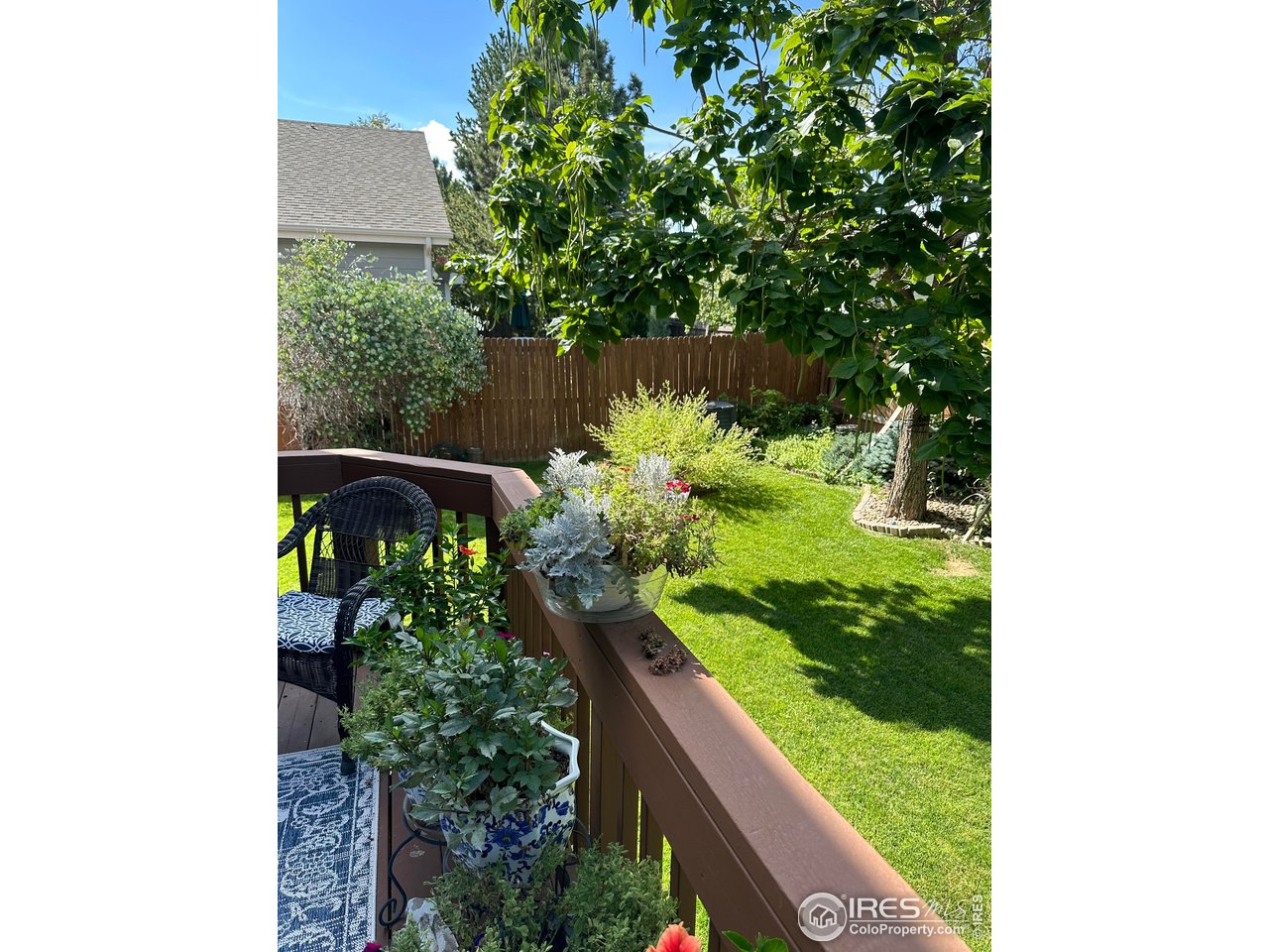 820 Courtenay Cir