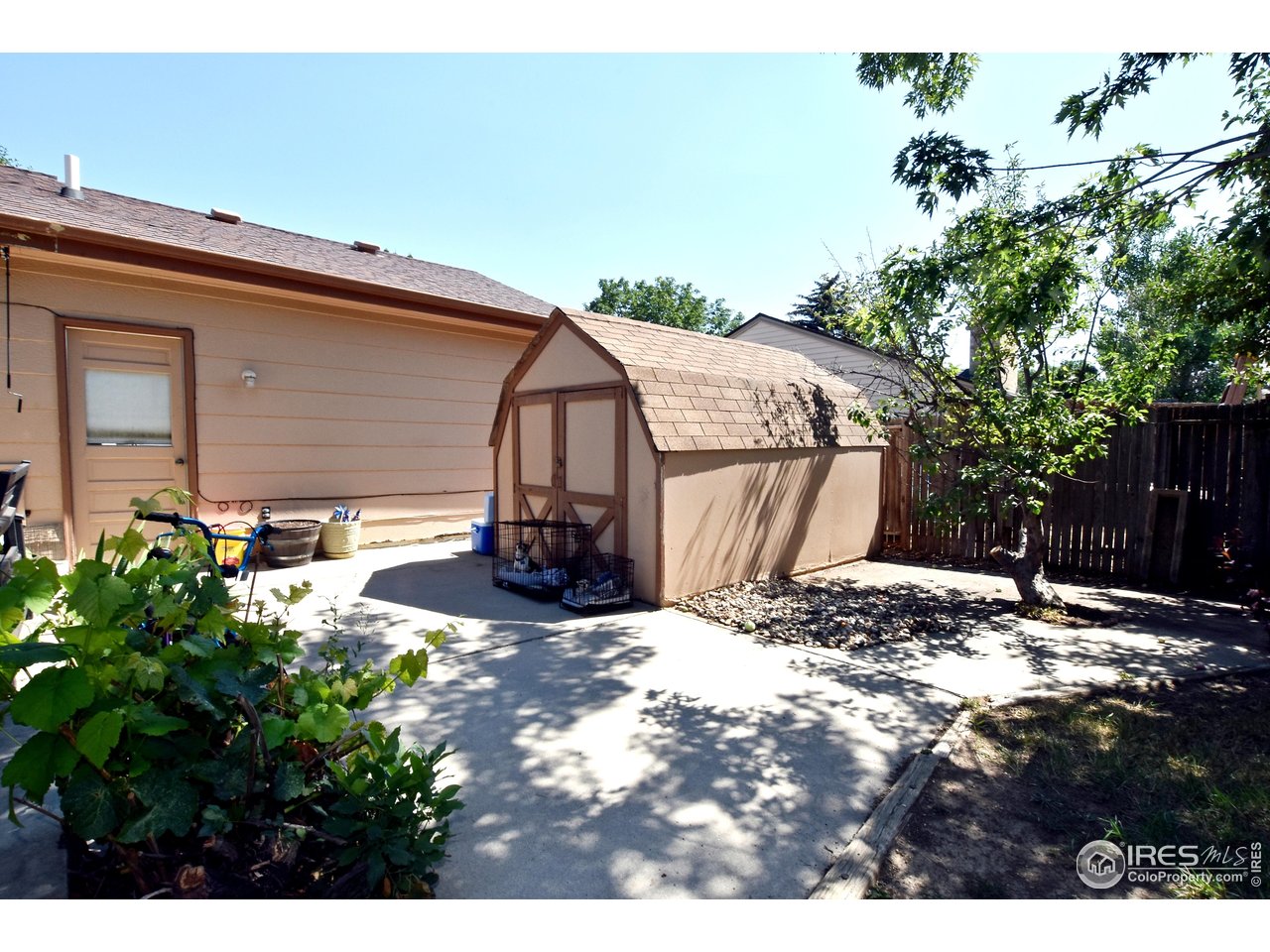 4009 Davidia Ct