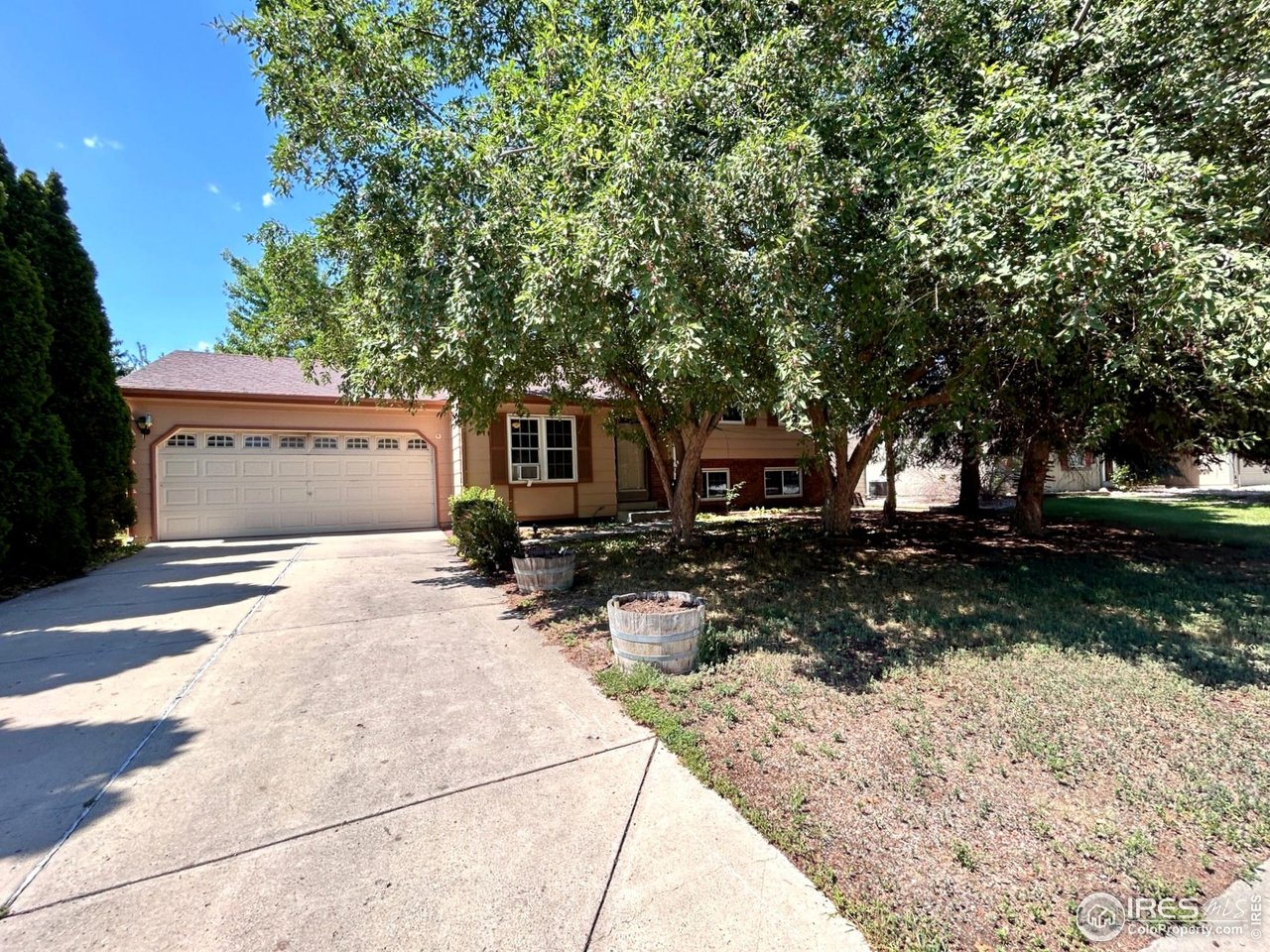 4009 Davidia Ct