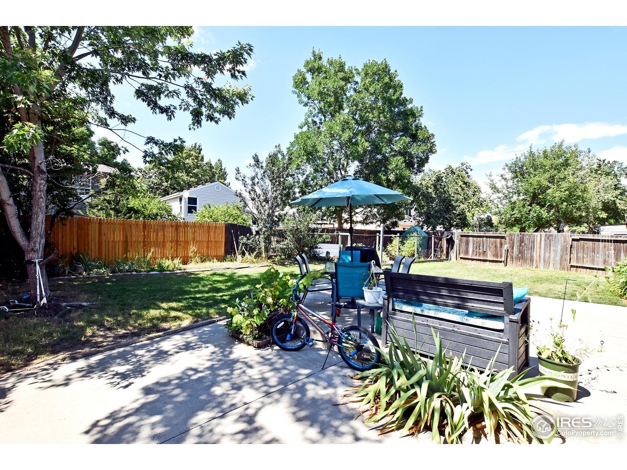 4009 Davidia Ct