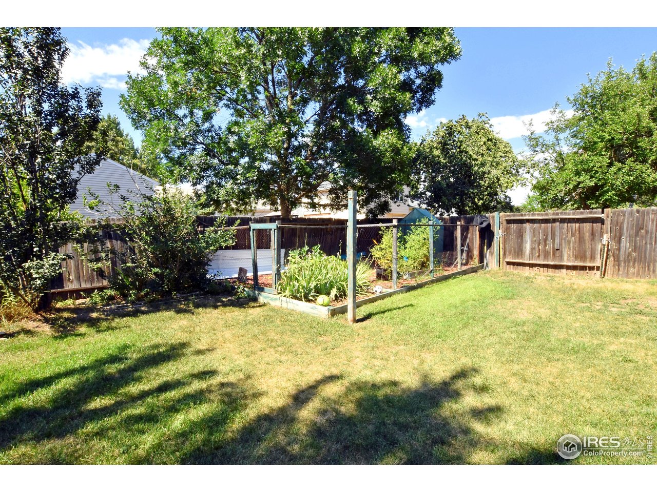 4009 Davidia Ct